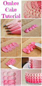 DIY Ombre Cake Tutorial seen on Moms & Munchkins