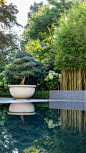 Private garden with pool, sandstone pots, bamboo