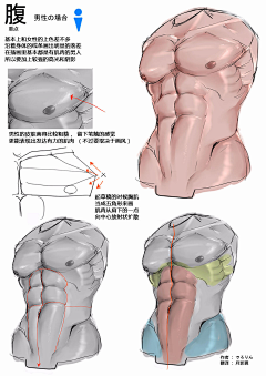 Balance_M采集到教程/人体