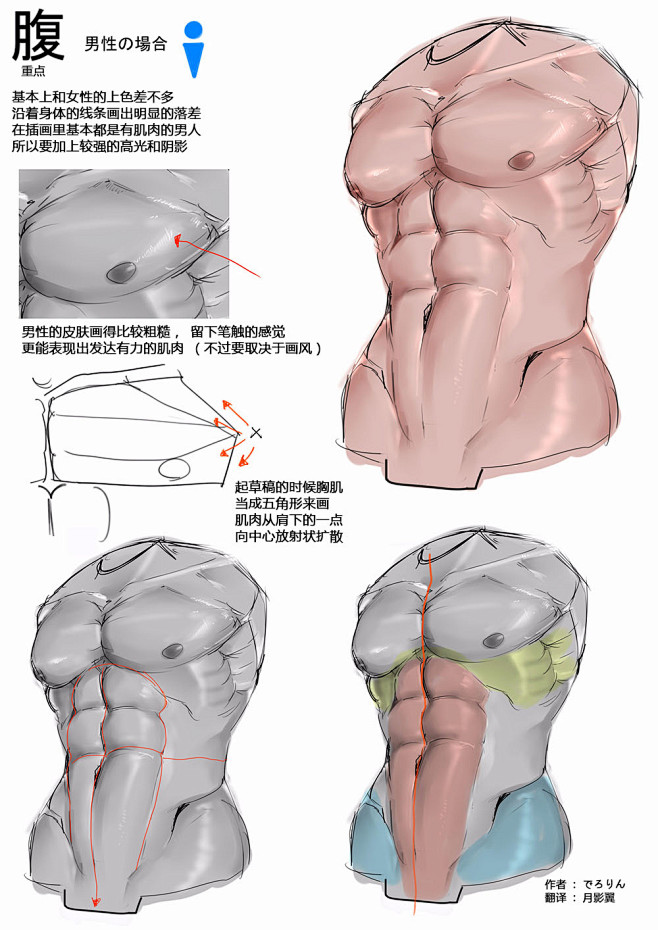 关于腹部还有肌肉的上色，肌肉之间的起伏和...