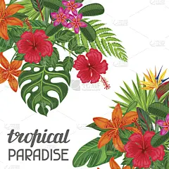 贺卡,仅一朵花,叶子,鸡尾酒,摆拍,天堂,图像,绘画插图,夏天,计算机制图
