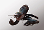 Drab Crab 01, Tyler Smith : Drab Crab 01 by Tyler Smith on ArtStation.