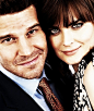 david boreanaz and emily deschanel