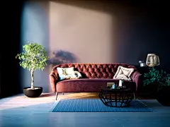 bb81a659602053.5a28356a4c9f0.png (1500×1125)