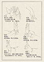 手绘戏曲基本手势中国戏曲的手势名称一般… - 半次元 - ACG爱好者社区