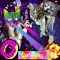 catwang hot chicks  | via Tumblr