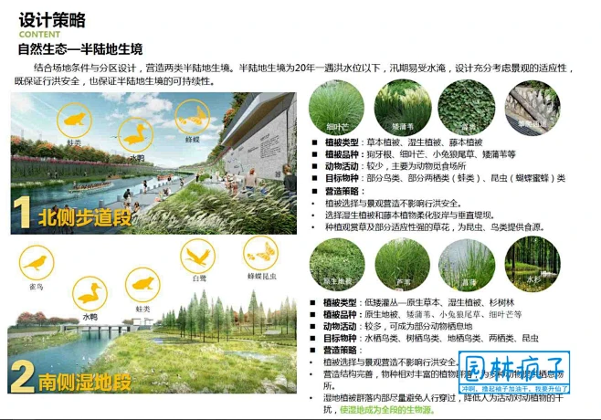 WB443深圳观澜河碧道建设工程 滨水公园河道改造景观方案设计文本-淘宝网-花瓣网