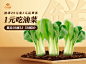 生鲜蔬果 电商APP banner 菠菜