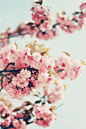 spring #创意#