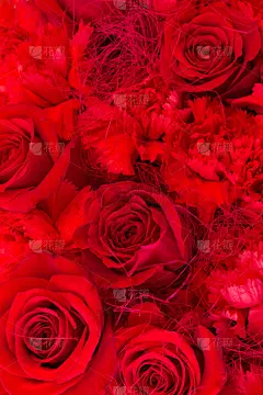 玫瑰,背景,华丽的,周年纪念,婚姻,浪漫,橙色,壁纸,复古风格,婚礼