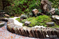 #花园设计#低成本改造的小景，很喜欢水泥碎瓷砖的想法，条件不佳并不能阻挡我们对美好生活的追求O28元爆改15平米空地，经济实用，值得拥有！ ​​​​