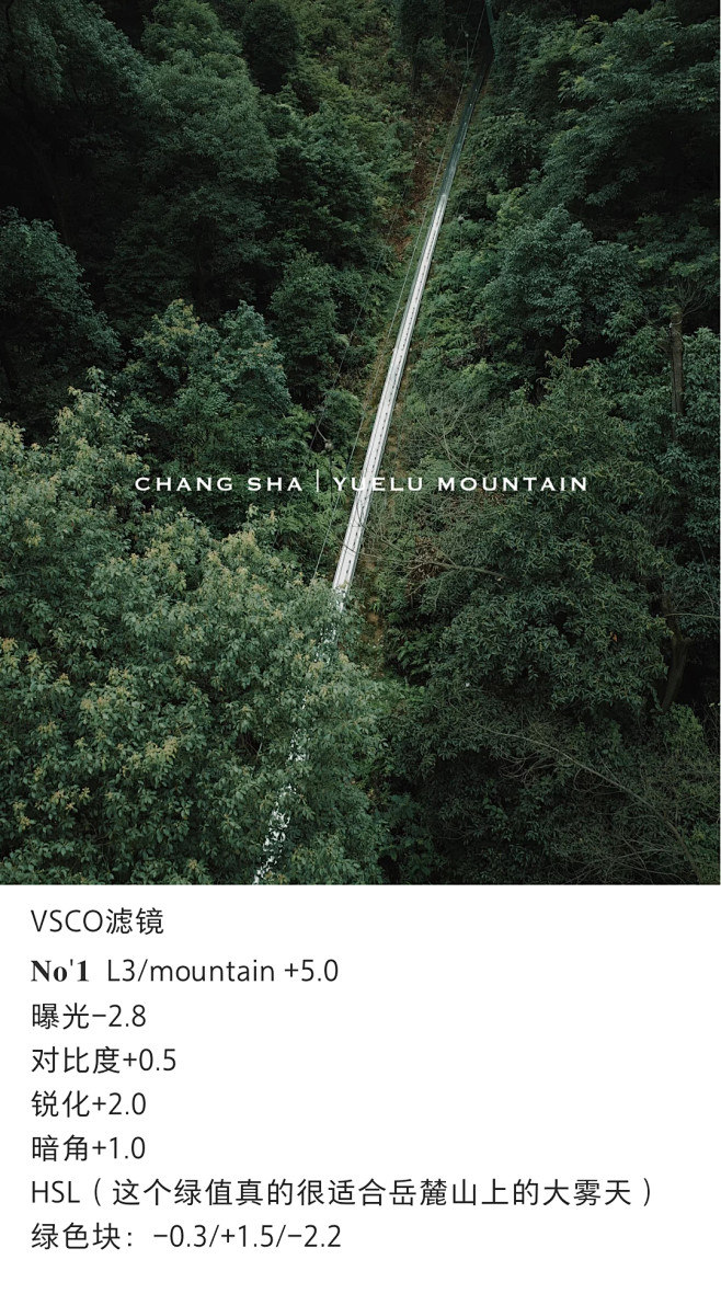 VSCO    森系滤镜  小清新  森...