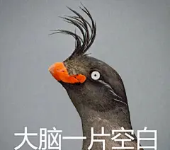 大脑一片空白
