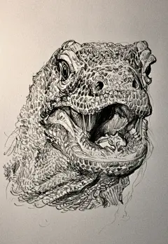 狮鸢SONNY  的插画 KOMODO