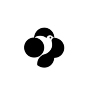Graphis International Awards & Publications