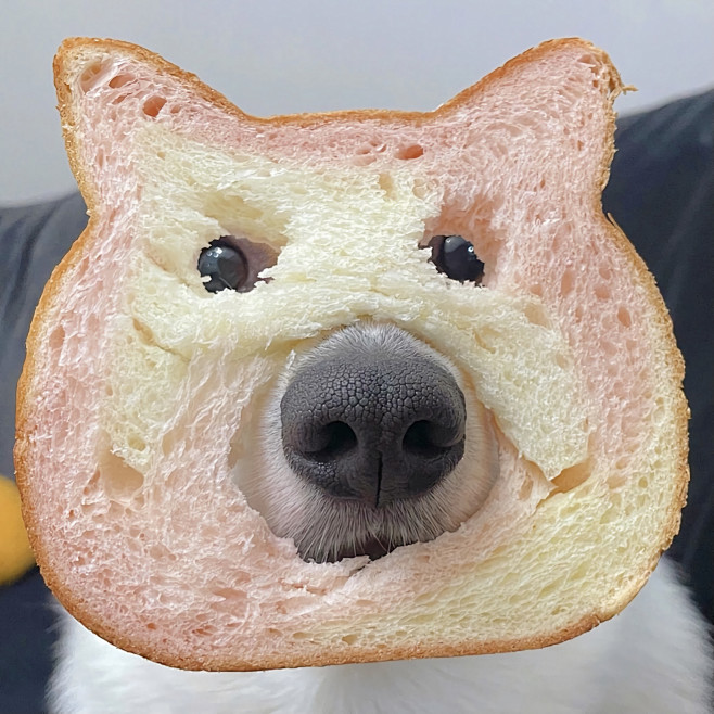 ​​​