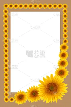 贺卡,边框,向日葵,背景,夏天,自然,垂直画幅,空白的,留白,式样