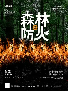 大气简约森林防火海报设计