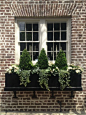 Fall To Winter Garden and Landscape Ideas – Follow The Yellow Brick Home