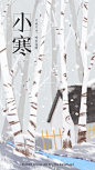 节气 二十四节气 大雪