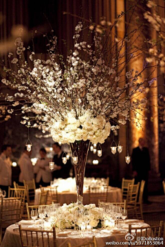 ZKiAK_倩芙采集到wedding