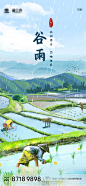谷雨节气插画海报