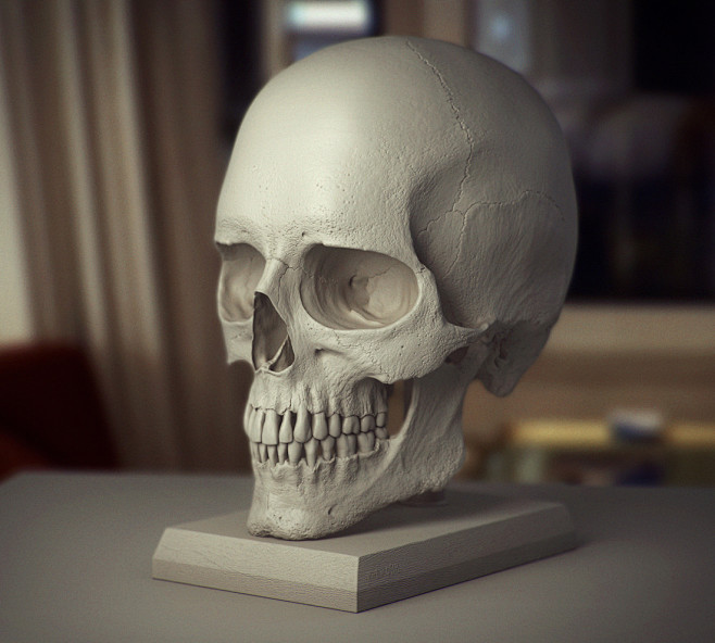 The Skull (clay rend...