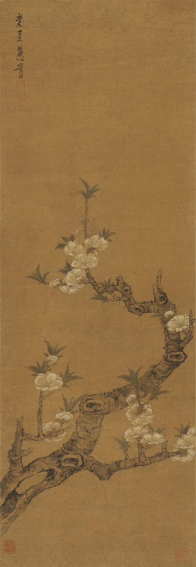 古画-花卉参考