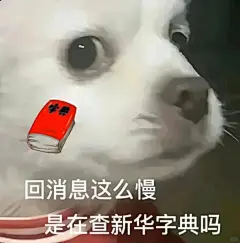 表情包大全（猫猫狗狗版） - 小红书