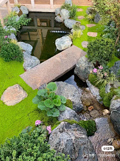 风林景观采集到自然式庭院