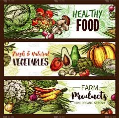 蔬菜,清新,水果,食用菌,农业,胡瓜,食品,花椰菜,西红柿