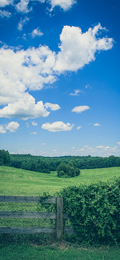 哦哈哦采集到山脉/山/森林 背景