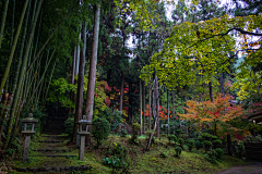 四月彩虹采集到高清风景参考