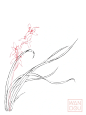 速写｜花卉21 - 小红书