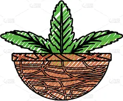锅,植物群,分离着色,鸡尾酒,自然,华丽的,清新,房屋,图像,装饰
