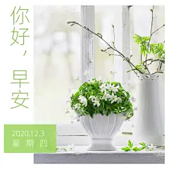 方形日签早安实景静物