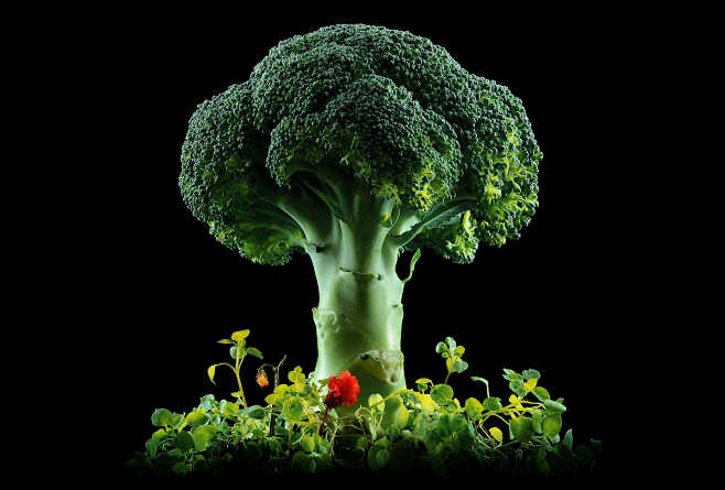 Broccolandia by Anto...