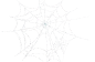 蜘蛛网全景素材