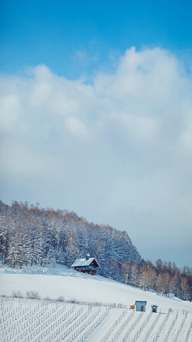 雪景