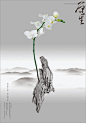 2013年红点奖企业形象设计作品：Taiwan’s butterfly orchid-古田路9号-品牌创意/版权保护平台