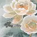 东方之美 | 柔纱曼舞