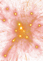 95308deea586e180e572fdeac28aa132f9a2acf6d02da-9I44MQ