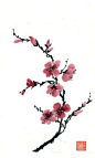 Learn Chinese Brush Painting Techniques with Pauline Cherrett. Plum ink and wat