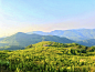 大山上的美景