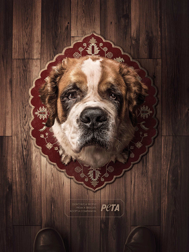 PETA : “It was such ...