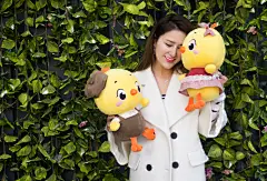 小黄鸡高登摄影作品（3）