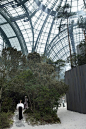 fashionbygettyimages:  An enchanted forest at Chanel. Source:...