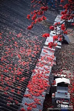 昨夜纵酒醉天星，明日晓风吹未醒。
溪江河畔碧云歌，曲调青山落归客。
清露痴笑红尘灯，香梅幽径枫叶阔。
春心花月银汉社，四野画船听顷刻。