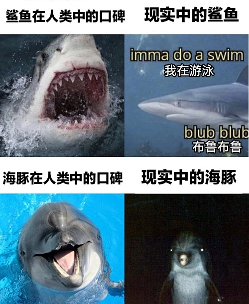 图片_【表情包/meme】梗图和表格图片素材-花瓣网