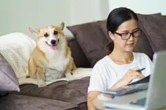 点击来源直接获取大图文件 |Woman playing with her dog at home lovely corgi on sofa in living room.